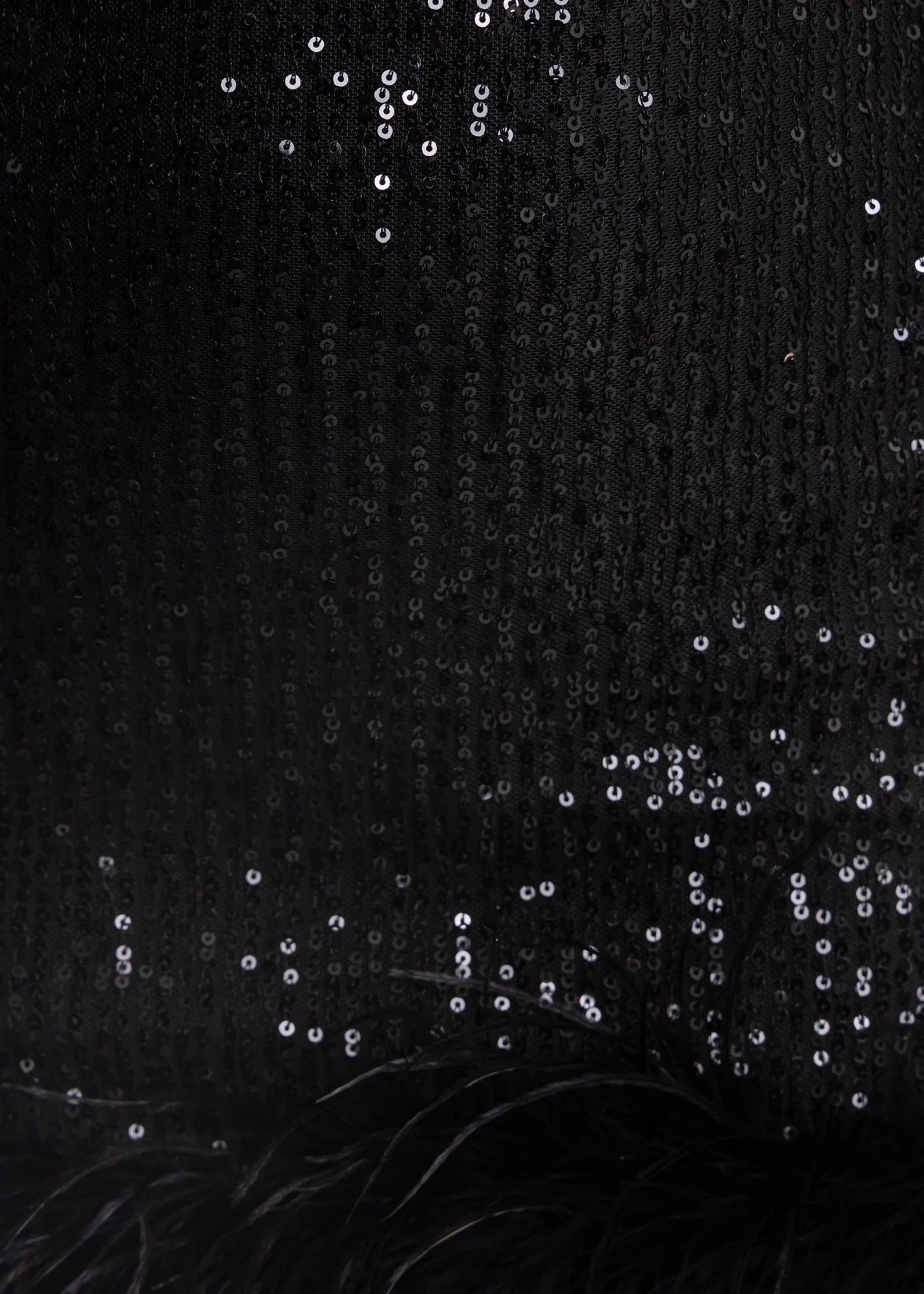 Untamed Aura Feather Detail Mini Dress - Black - Image 5